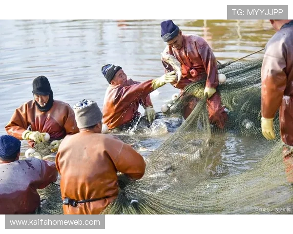 K8捕鱼王攻略实战经验：提升捕鱼效率的实用技巧与注意事项