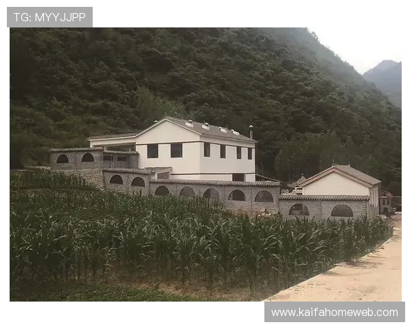 凯发K8开户下载官网帮助用户了解最新版本软件下载方式与安全注册流程